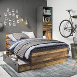 Wooden Bookcase With 1 Door And 2 Drawers - Brooklyn