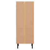 Wooden Storage Cabinet With 2 Drawers And 2 Shelves - Leon