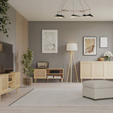 Wooden TV Stand With 1 Door And Rattan Effect Front - Calasetta
